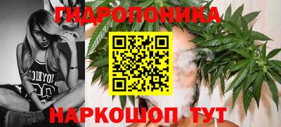 винт Камышлов