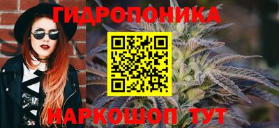 тгк Кандалакша