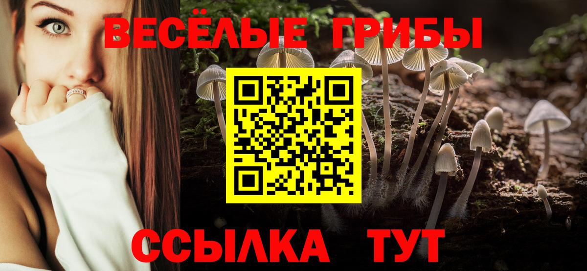Псилоцибиновые грибы мицелий Петропавловск-Камчатский