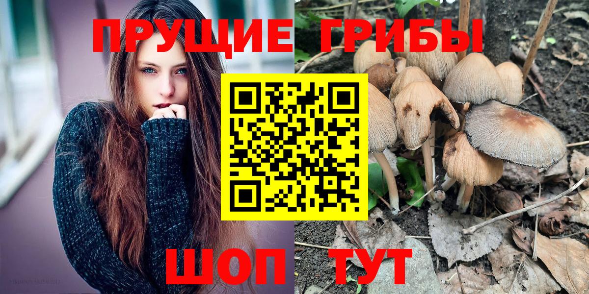 Галлюциногенные грибы Magic Shrooms  Галлюциногенные грибы Psilocybe  Петропавловск-Камчатский  Вход с VPN 